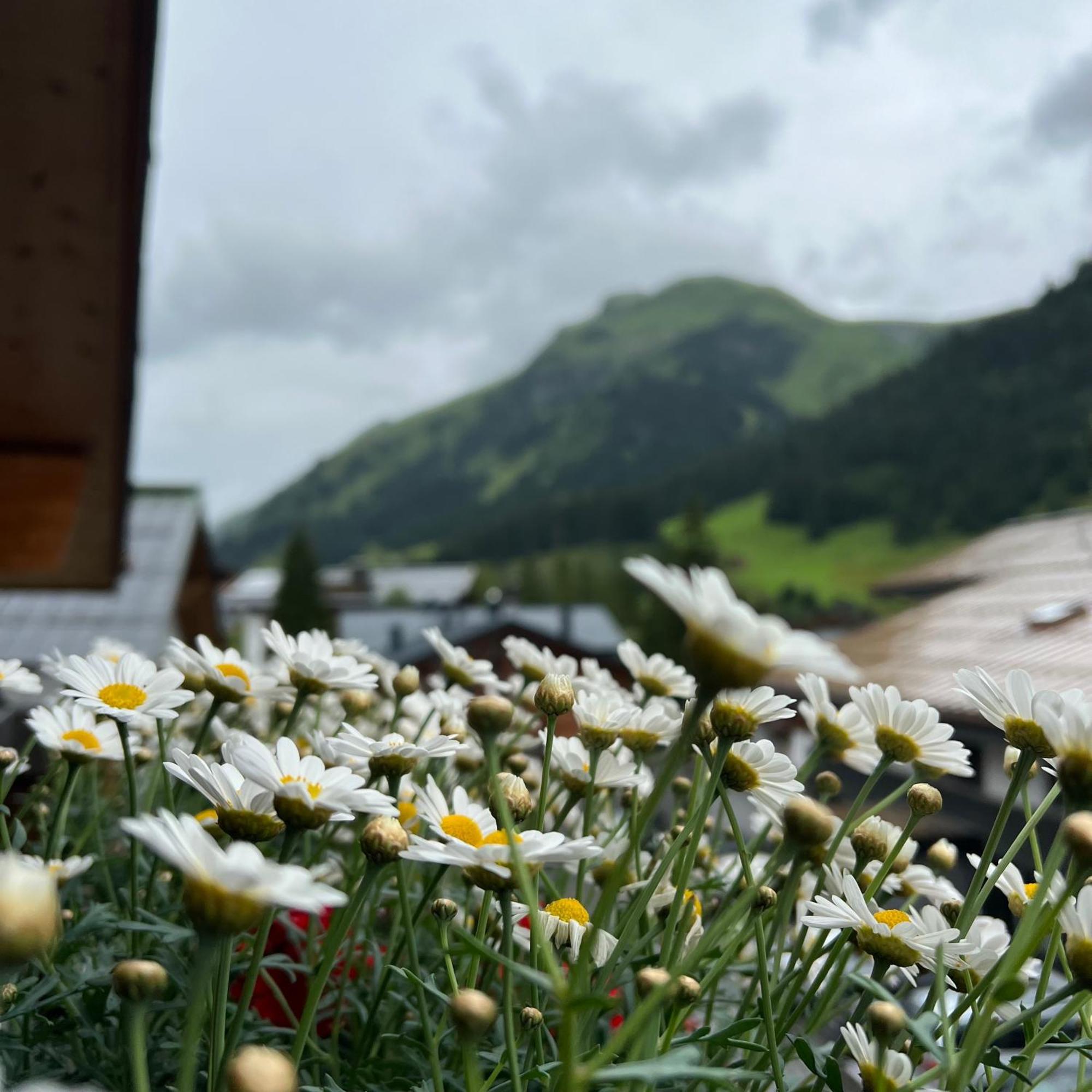 Naturhaus Loacker Lech am Arlberg Kültér fotó